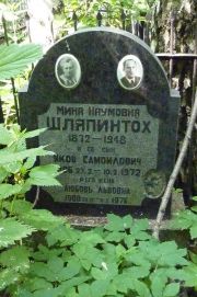 Шляпинтох Мина Наумовна, Москва, Востряковское кладбище